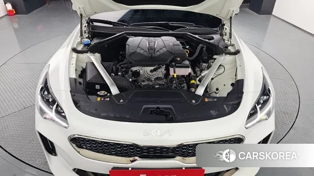 Kia Stinger Meister id 3561276 из Кореи 16