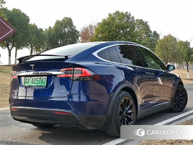 Tesla Model X id 4209493 из Китая 19