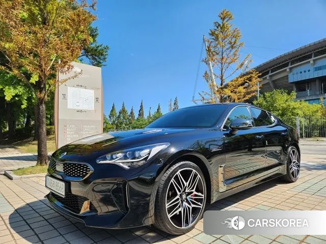 Kia Stinger Meister id 3665178 из Кореи 16