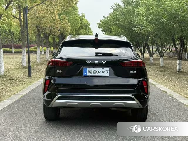 Wei Pai Mocha 2021 Черный из Китая, фото 6
