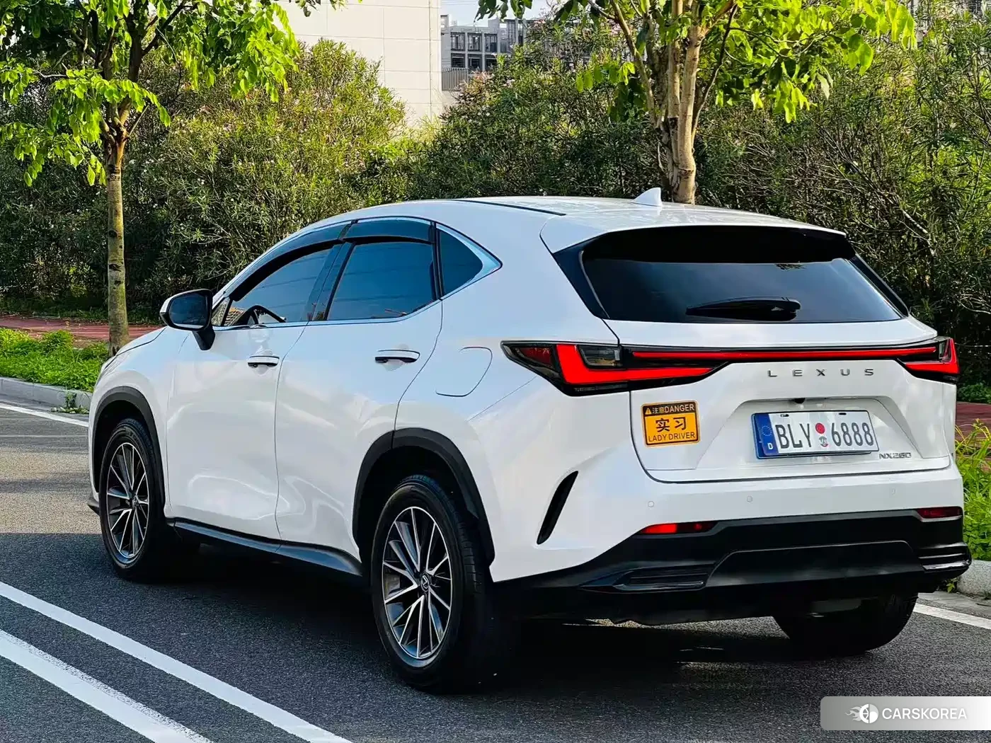 Lexus NX id 4514126 из Китая 9