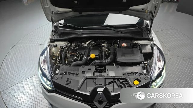 Renault Korea (Samsung) Clio id 4693972 из Кореи 28