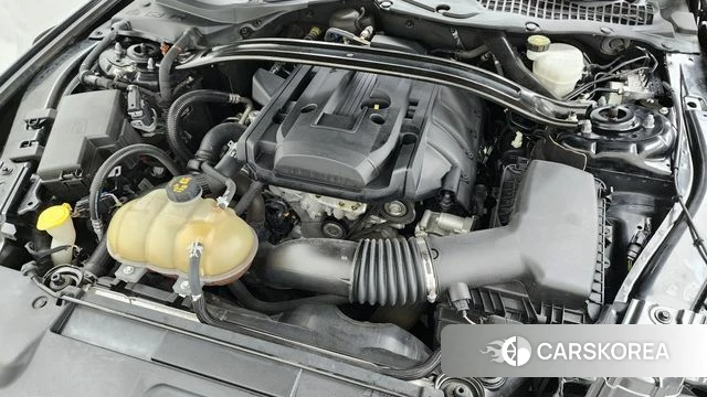 Ford Mustang id 4371356 из Кореи 33