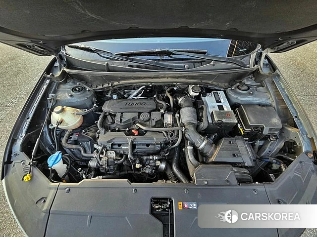 Hyundai Tucson (NX4) id 4906512 из Кореи 14