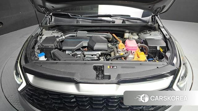 Kia Sportage 5th Generation Hybrid id 3884020 из Кореи 16