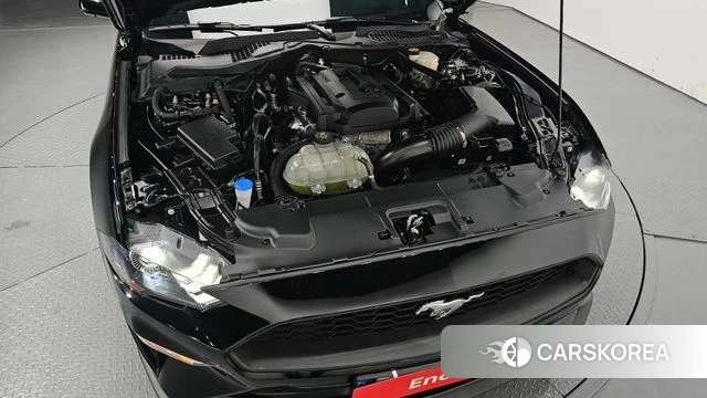 Ford Mustang id 4388429 из Кореи 28