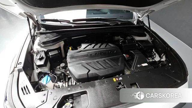 Hyundai Santa Fe TM id 3356683 из Кореи 16