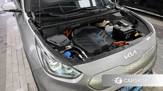 Kia Niro EV id 3416846 из Кореи 16