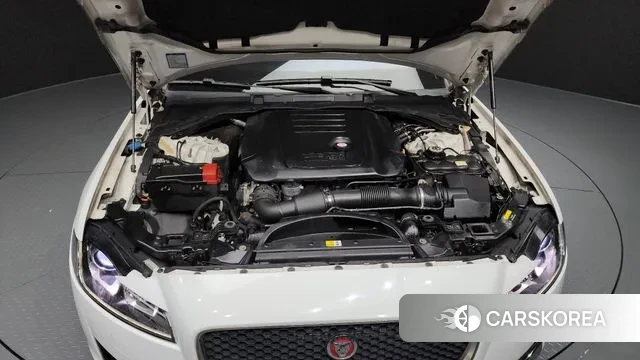 Jaguar XF (X260) id 3563337 из Кореи 16