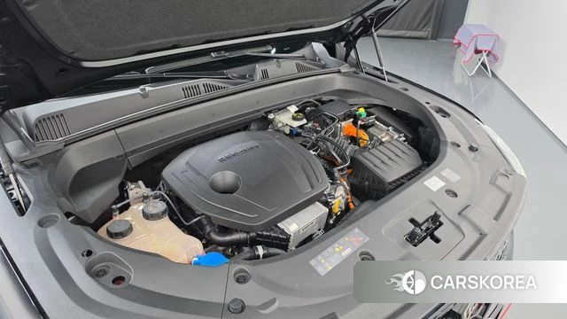 Renault Korea (Samsung) Grand Coleos id 4706171 из Кореи 32