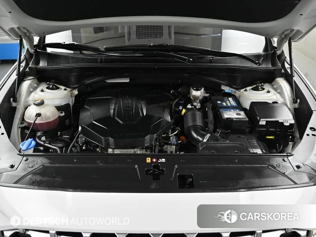 Hyundai The New Santa Fe id 4654753 из Кореи 16