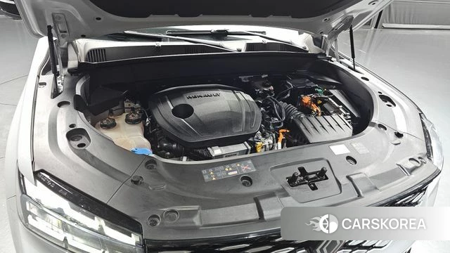 Renault Korea (Samsung) Grand Coleos id 4847469 из Кореи 16