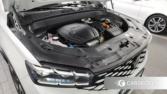 Renault Korea (Samsung) Grand Coleos id 3316063 из Кореи 16