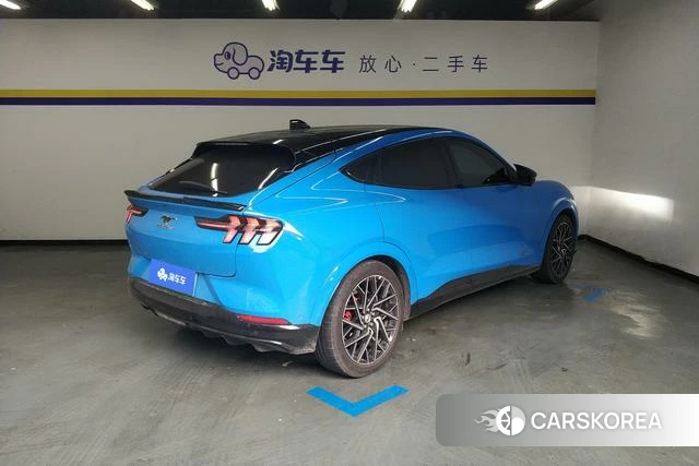 Ford Electric horse id 4213572 из Китая 13