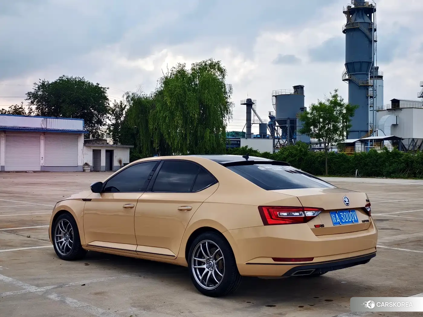Skoda Speed pie 2018 Yellow/orange из Китая, фото 6