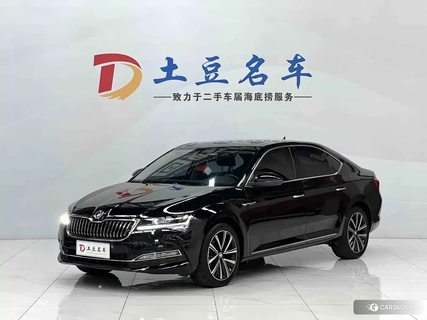 Skoda Speed pie id 4577623 из Китая 15