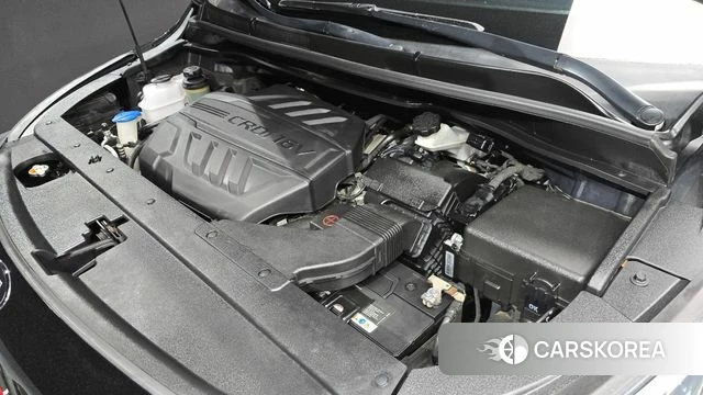 Kia The New Carnival id 4924050 из Кореи 28