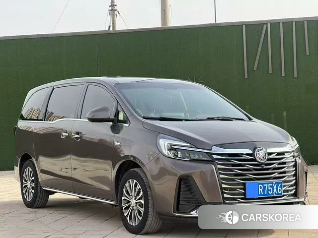 Buick GL8 2023 Коричневый из Китая, фото 6