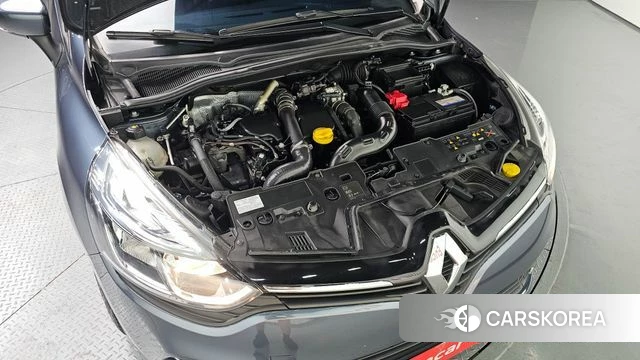 Renault Korea (Samsung) Clio id 4397578 из Кореи 16