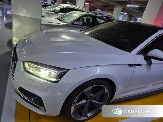Audi A5 (F5) 2019 Белый из Кореи, фото 6