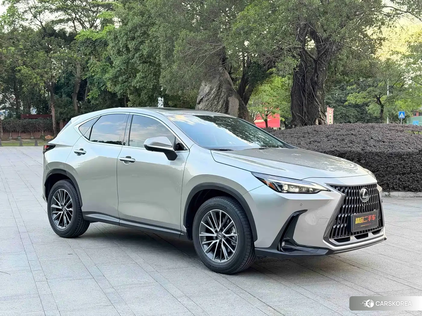 Lexus NX 2025 Champagne/brown из Китая, фото 6