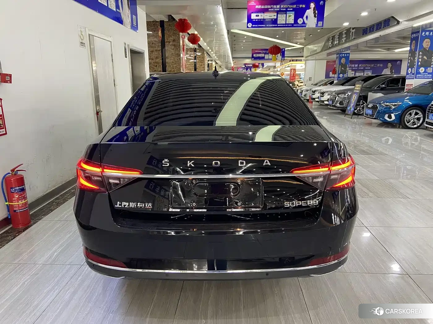 Skoda Speed pie id 4538750 из Китая 13