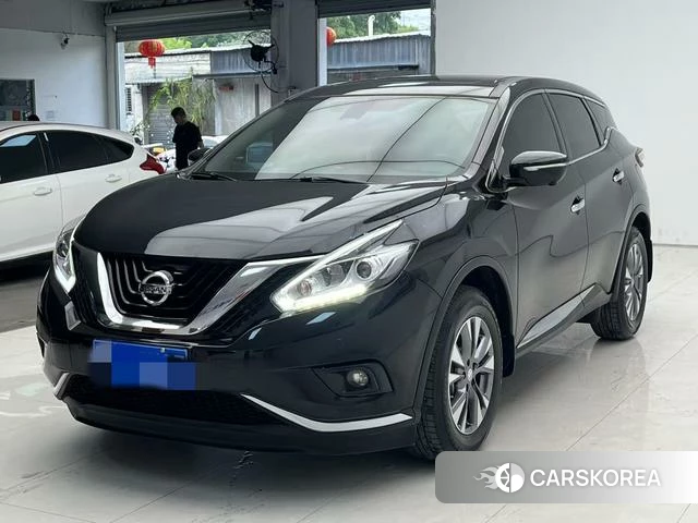 Nissan Loulan id 4263798 из Китая 7