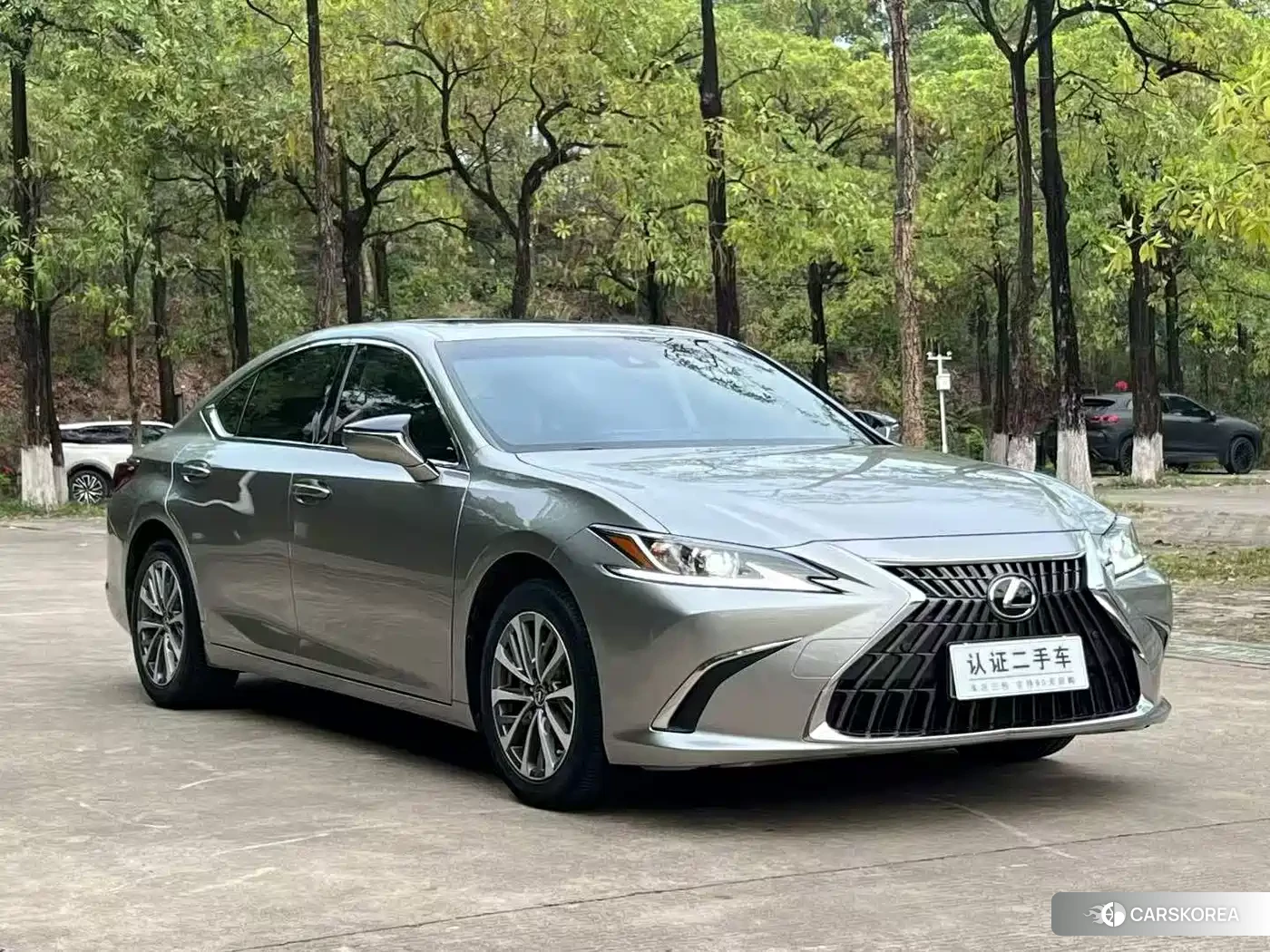 Lexus ES 2022 Silver/gray из Китая, фото 6