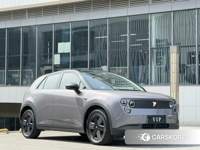 firefly firefly Unknown id 4198869 из Китая 22