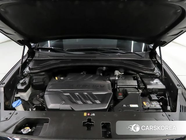 Hyundai Santa Fe TM id 4203770 из Кореи 16