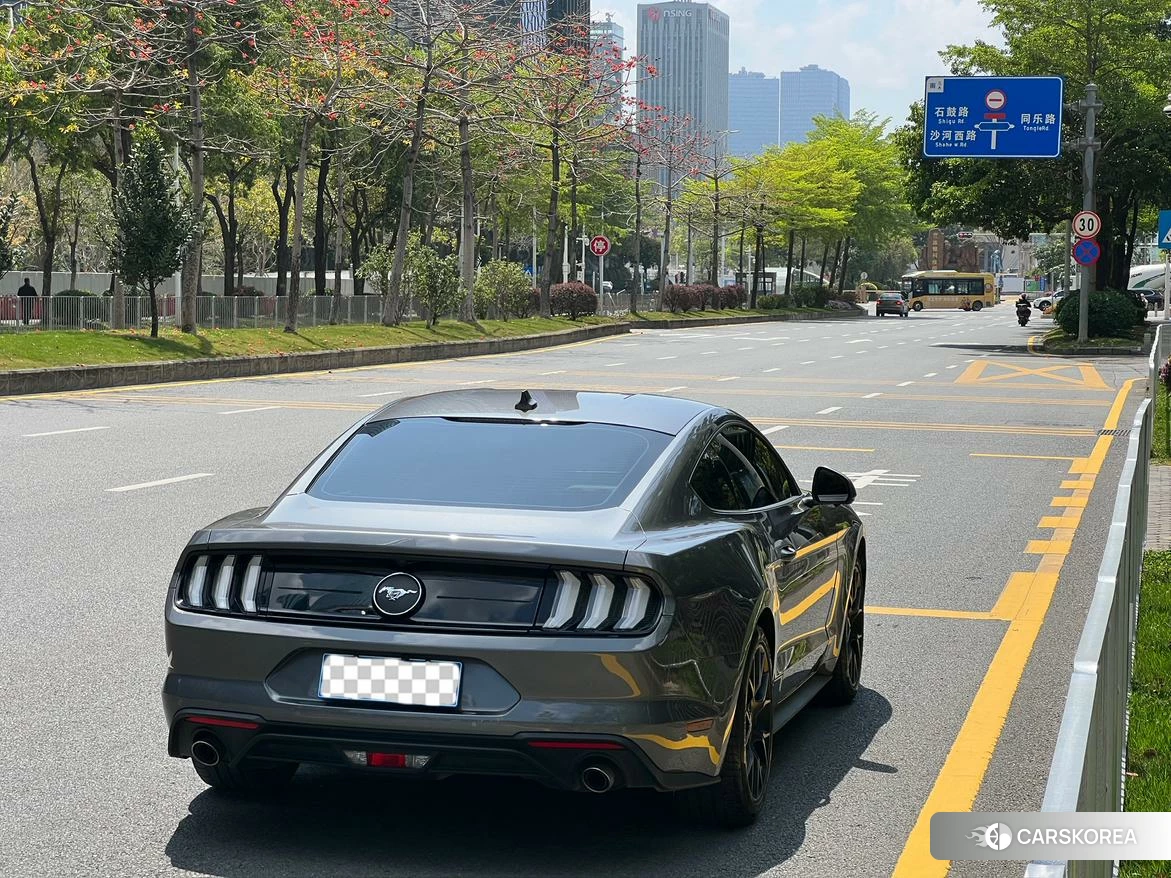 Ford Mustang id 4467794 из Китая 13