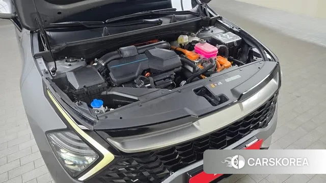 Kia Sportage 5th Generation Hybrid id 3758726 из Кореи 16