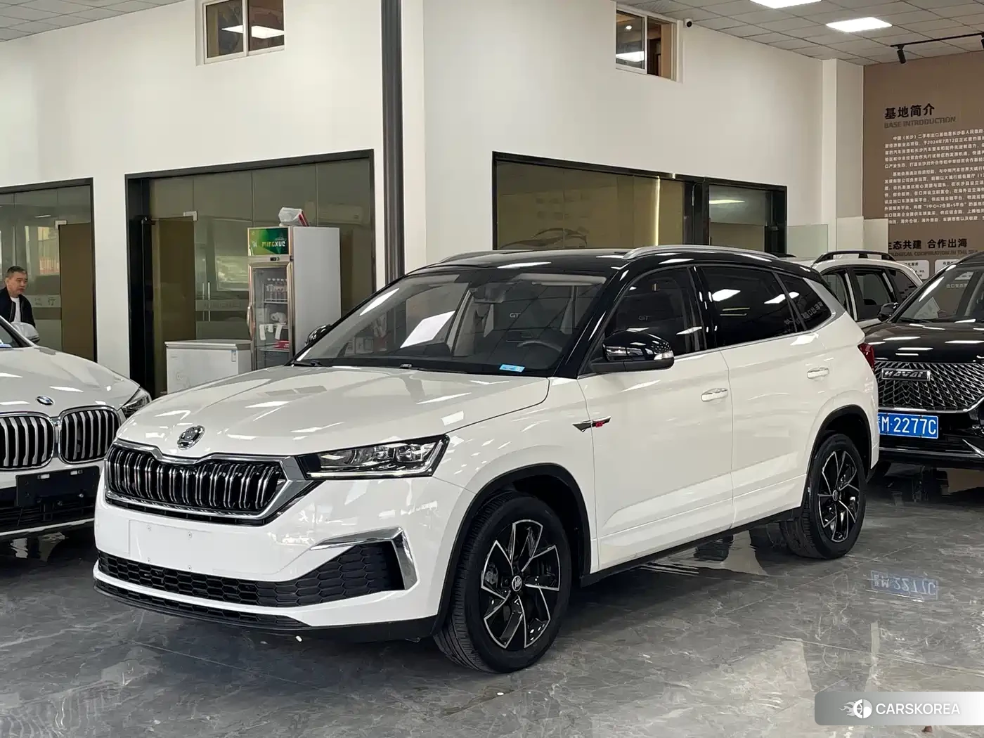 Skoda Komick id 4545734 из Китая 13
