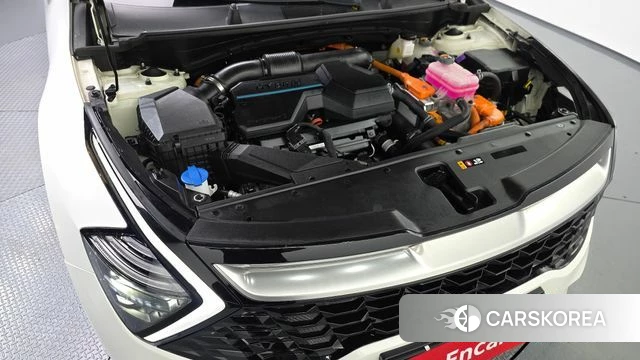 Kia Sportage 5th Generation Hybrid id 4942971 из Кореи 16