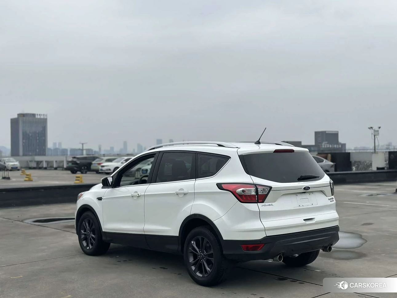 Ford Winged Tiger 2019 Белый из Китая, фото 6