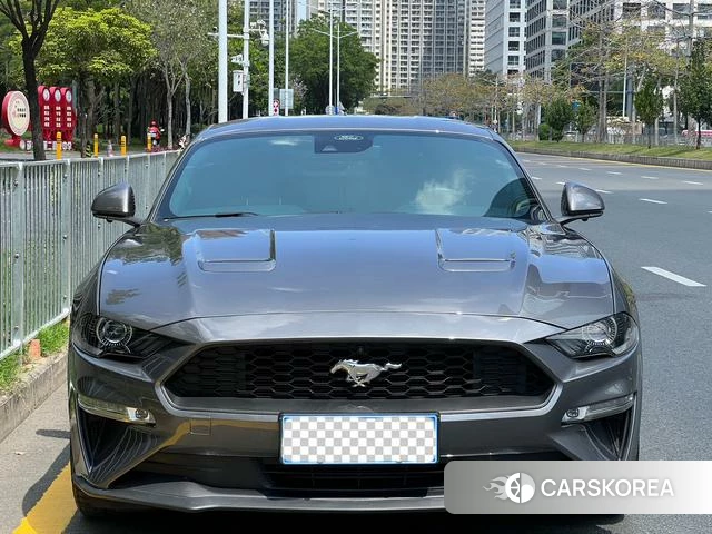 Ford Mustang id 3993829 из Китая 12