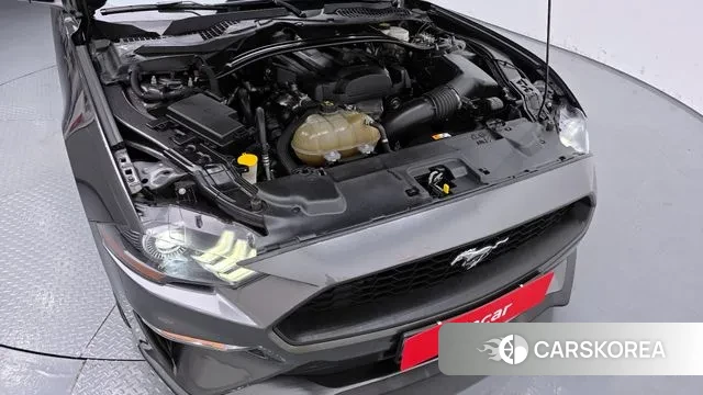 Ford Mustang id 3029417 из Кореи 16