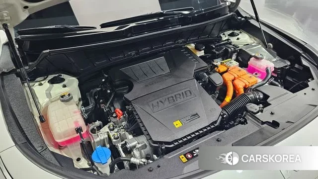 Kia Di Ol Nu Niro id 3310660 из Кореи 16