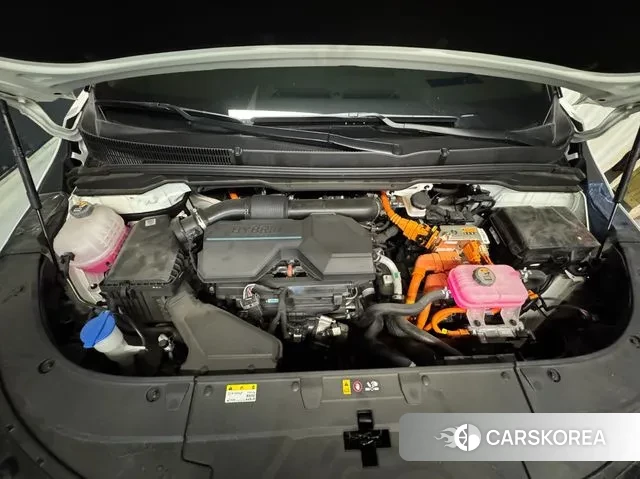 Kia The New Carnival 4th Generation id 3251525 из Кореи 16