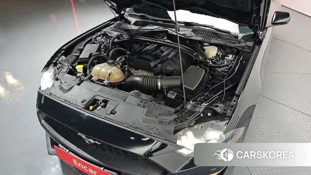 Ford Mustang id 3723304 из Кореи 16