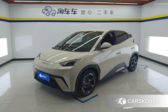 BYD Seagull id 4215148 из Китая 13