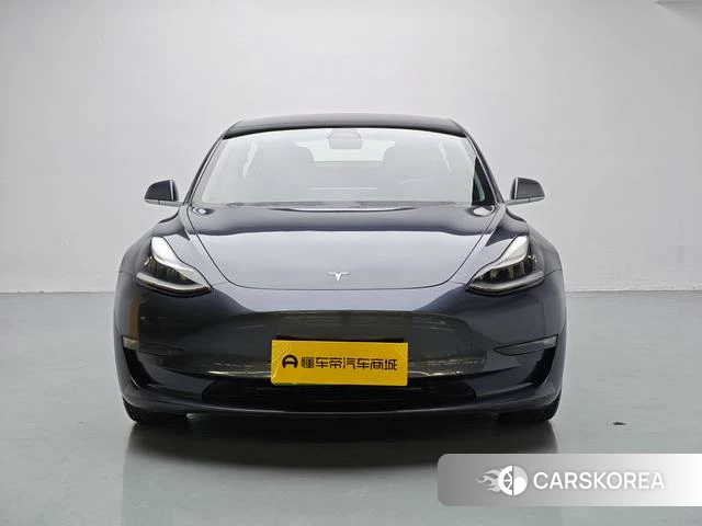 Tesla Model 3 (imported) id 4212989 из Китая 16