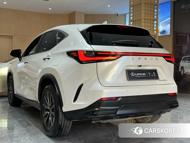 Lexus NX PHEV id 4274417 из Китая 14