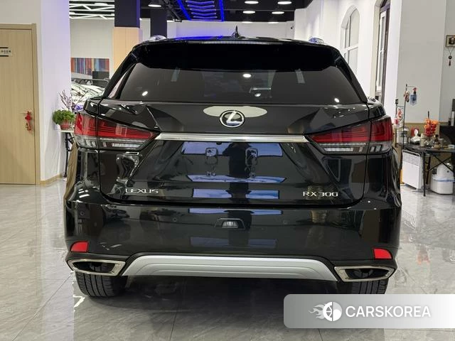 Lexus RX id 4276297 из Китая 17