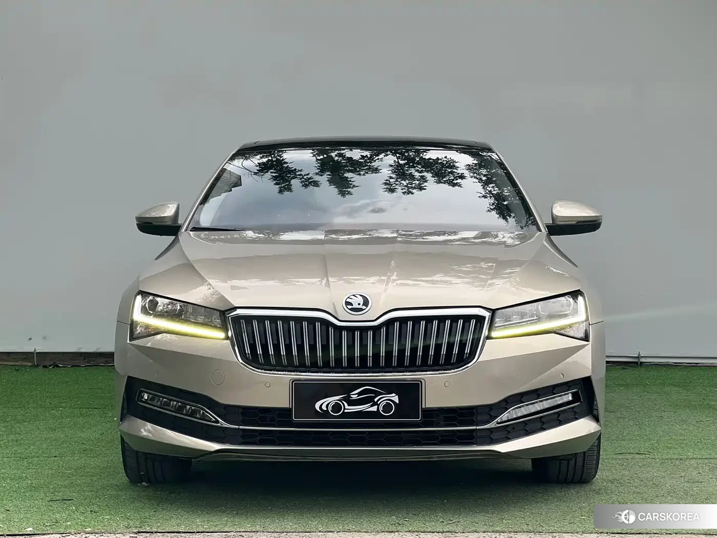 Skoda Speed pie 2022 Champagne/brown из Китая, фото 6