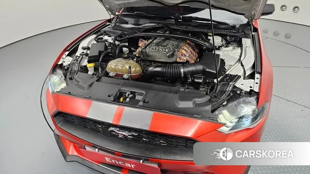 Ford Mustang id 3034207 из Кореи 16