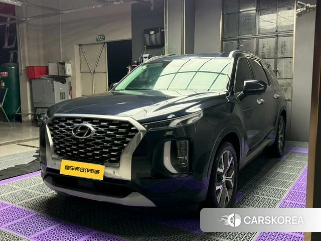 Hyundai Paristi id 4238263 из Китая 16