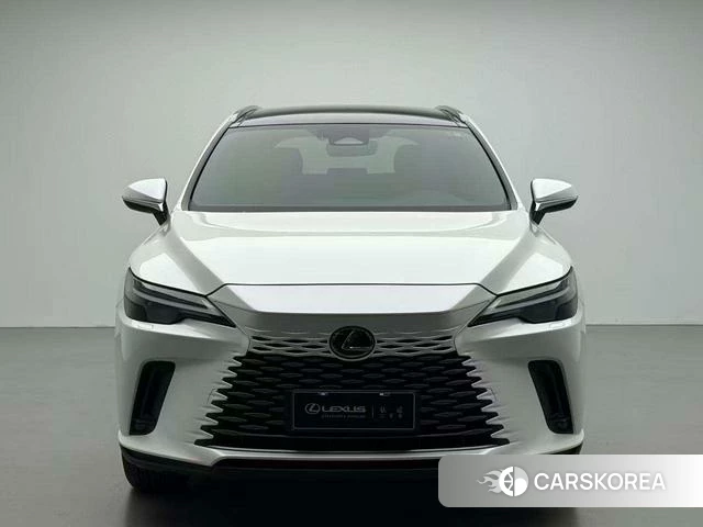 Lexus RX id 4277950 из Китая 13