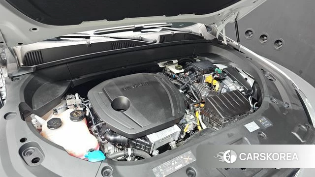 Renault Korea (Samsung) Grand Coleos id 4681604 из Кореи 34