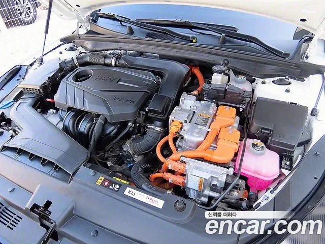 Kia K5 Hybrid 3rd Generation id 2685403 из Кореи 16